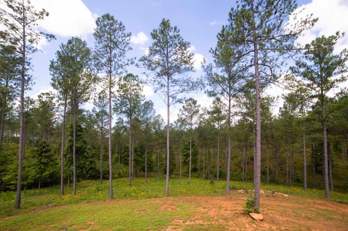 Cozy Mountain Cabin | Hot Tub & Fire Pit 40 Dwell