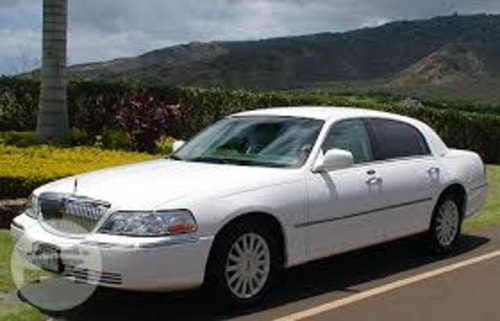 River Views + Huge Yard | Raleigh 3BR Retreat 29 Dwell