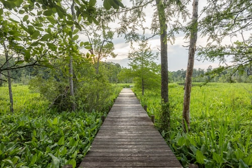 VA Riverfront 4BR | Dock + Kayaks + Games 66 Dwell