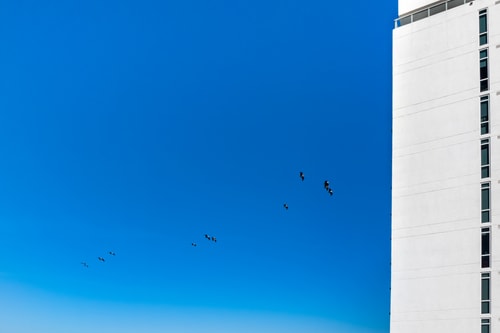Oceanfront Penthouse with Pool & Beach Access 74 Dwell