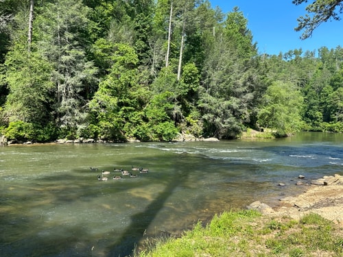 Cozy Mountain Cabin | Hot Tub & Fire Pit 37 Dwell