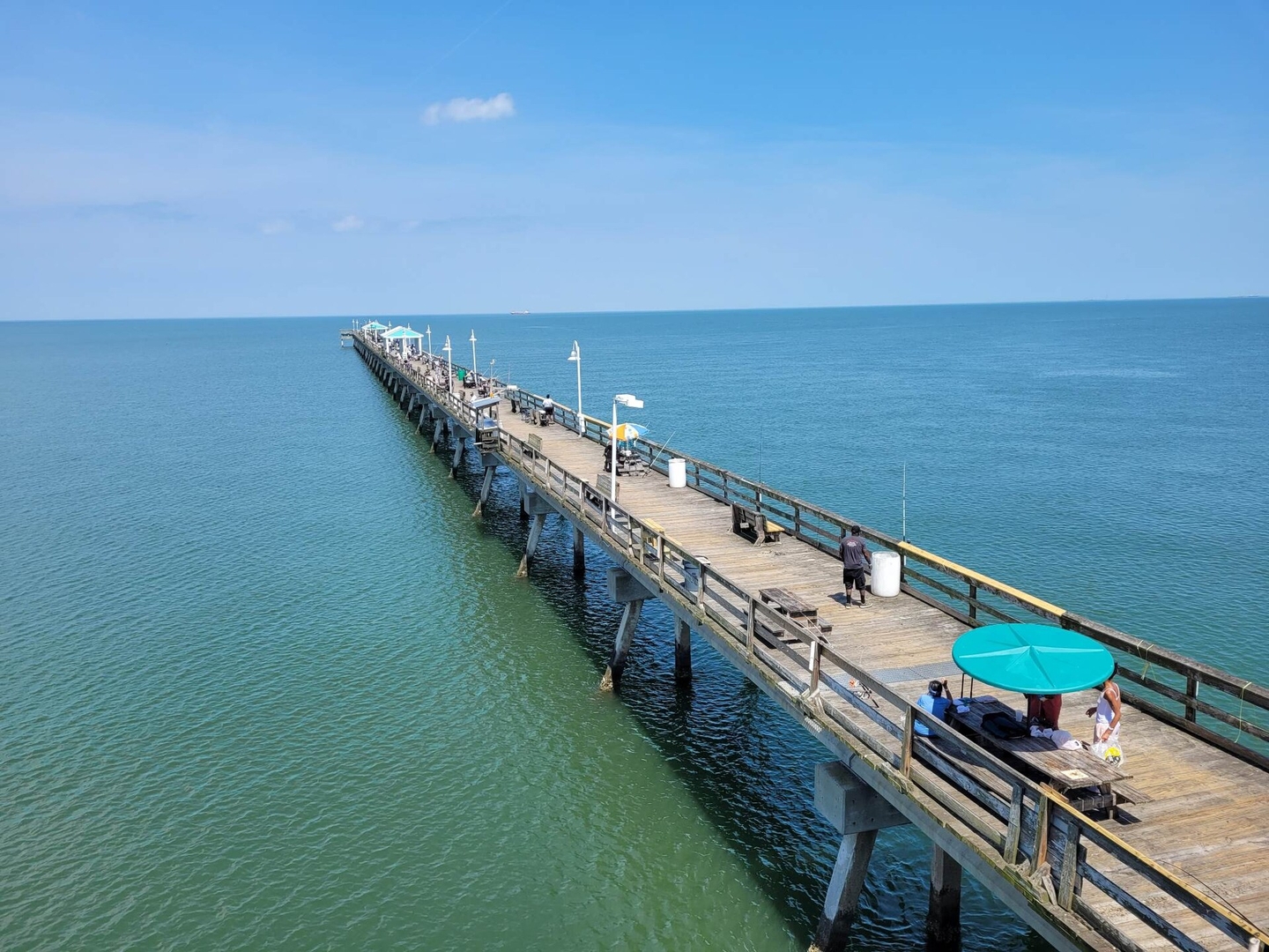 Beachfront Getaway | Dune House + Pets Dwell