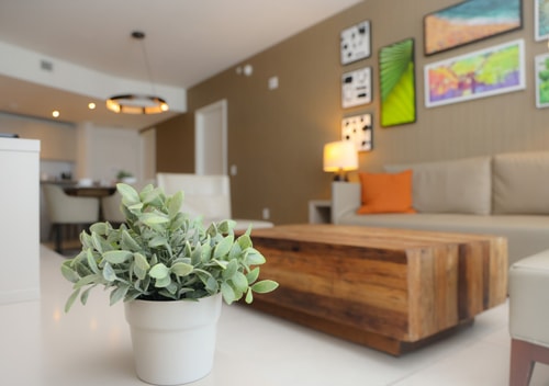 Ocean View Apt on the Beach 2 Bedroom 2 Bath. 21 Dwell