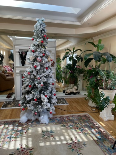 River Views + Huge Yard | Raleigh 3BR Retreat 58 Dwell