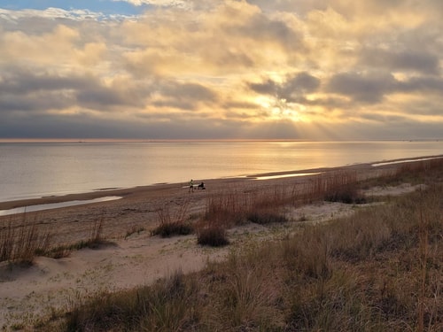 Beachfront Getaway | Dune House + Pets 20 Dwell