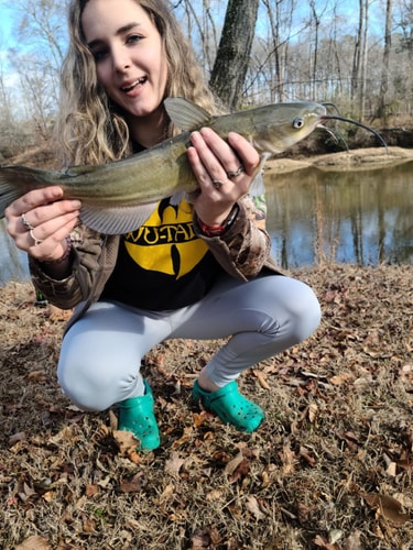 River Views + Huge Yard | Raleigh 3BR Retreat 55 Dwell