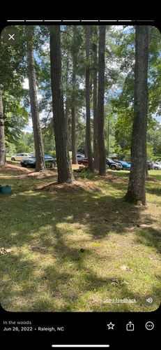 River Views + Huge Yard | Raleigh 3BR Retreat 52 Dwell