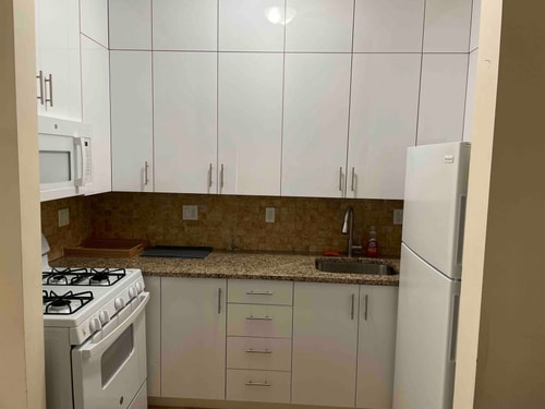 Brooklyn 4BR Duplex Near Manhattan 45 Dwell