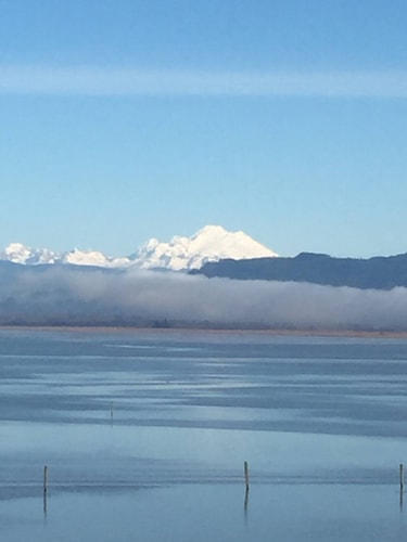 Charming 36ft Yacht | Steps to DTW Anacortes 25 Dwell