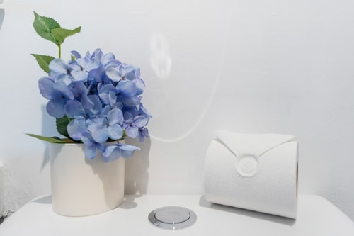 Walk to Beach & Ocean Drive | Pet-Friendly 27 Dwell