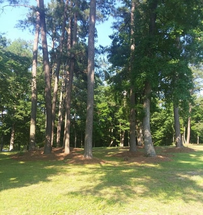 River Views + Huge Yard | Raleigh 3BR Retreat 23 Dwell