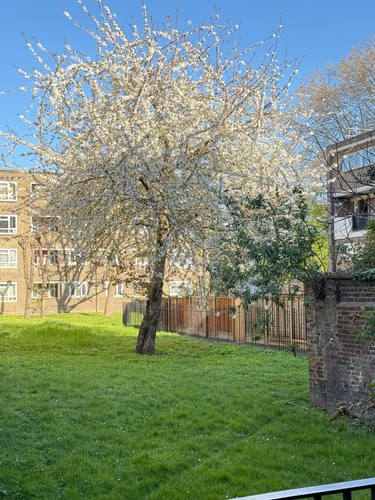 Shoreditch Apartments by PrimeCityHosts F11 28 primecityhosts.com