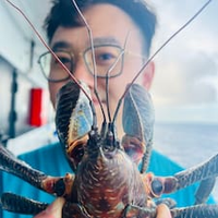 海明