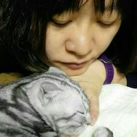 靖