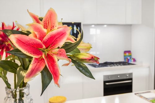 Cozy 3BR Villa | Pool + Walk to Beach | Parking 36 Serain Residences