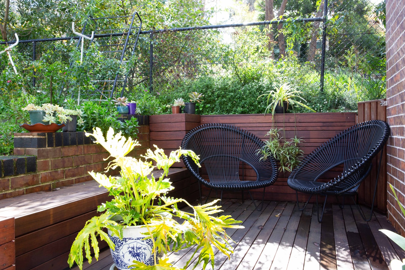 The Rose house B&B Cozy Family house in Katoomba 23 Serain Residences