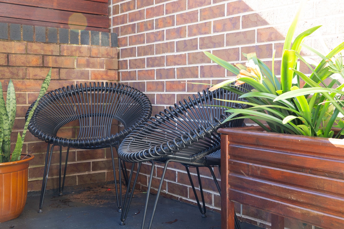 The Rose house B&B Cozy Family house in Katoomba 26 Serain Residences