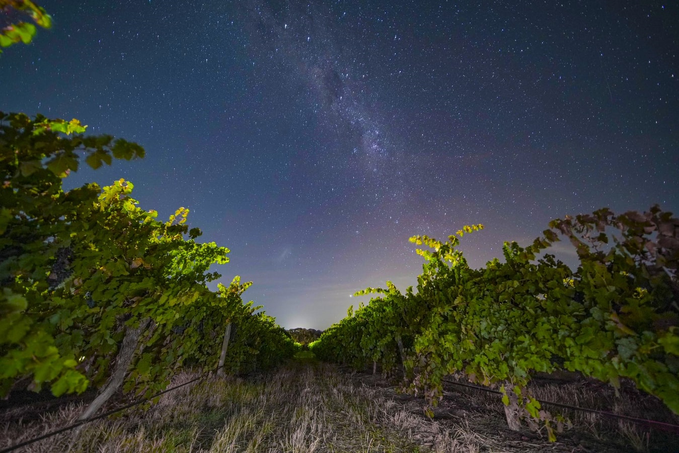 Furche Barossa 5 bed Stay: Vineyards & Fireplace 22 Serain Residences