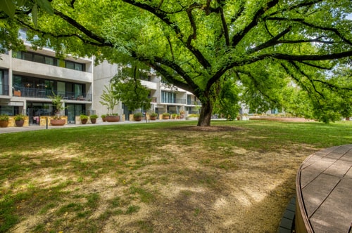 7Min to Canberra Centre | Modern 1BR Apt w/Parking 13 Serain Residences