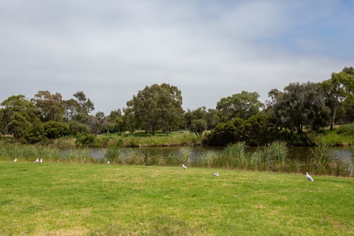 3 bedroom Townhouse next to River East Melbourne 1 Serain Residences