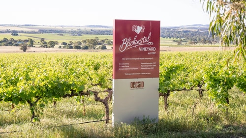 Comfy Studio 5 @ Blickinstal Barossa Valley 18 Serain Residences