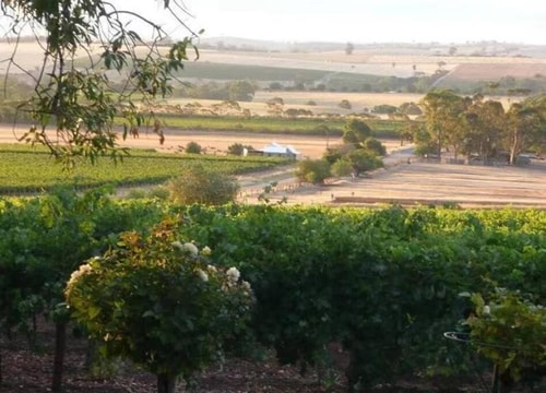 Comfy Studio 3 @ Blickinstal Barossa Valley 27 Serain Residences