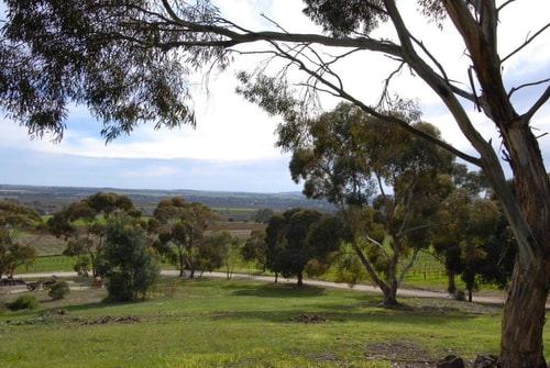 Comfy Studio 3 @ Blickinstal Barossa Valley 31 Serain Residences