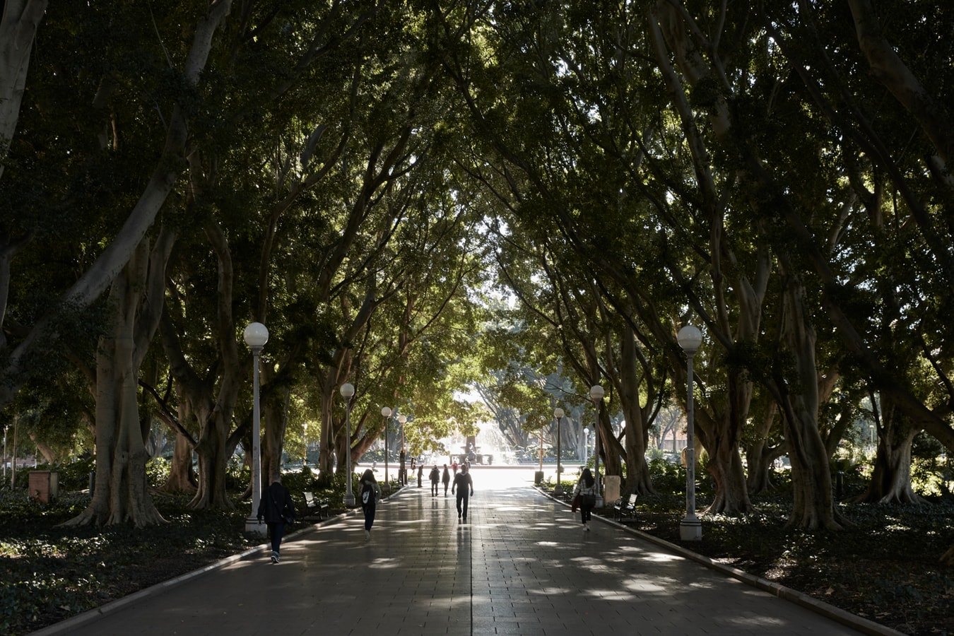 The Sandringham Townhouse in Sydney CBD Hyde Park 36 Serain Residences