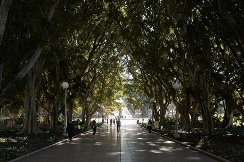 The Stanley Loft apartment in Sydney CBD Hyde Park 30 Serain Residences
