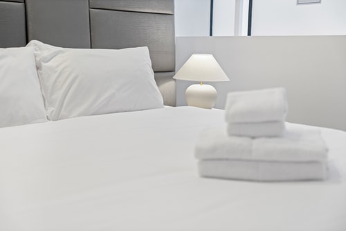 The Stanley Loft apartment in Sydney CBD Hyde Park 5 Serain Residences
