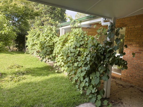 Spacious 3BR Getaway in Leura | Prime Location 4 Serain Residences