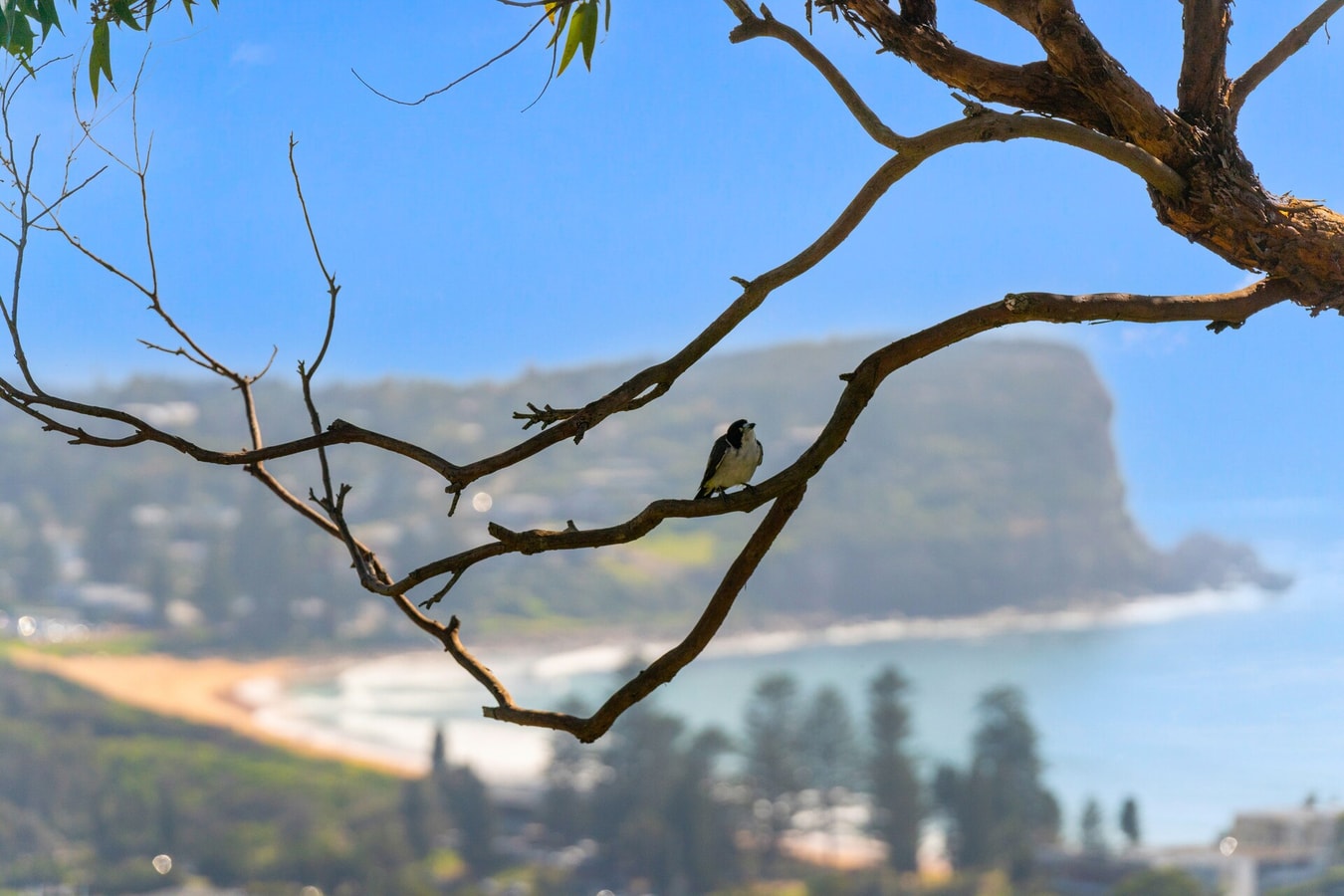 Costal Three-Storey Home with Panoramic Sea Views 39 Serain Residences