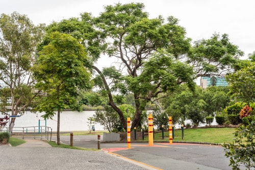 Westend high-end 3 bedroom Townhouse Next to River 28 Serain Residences
