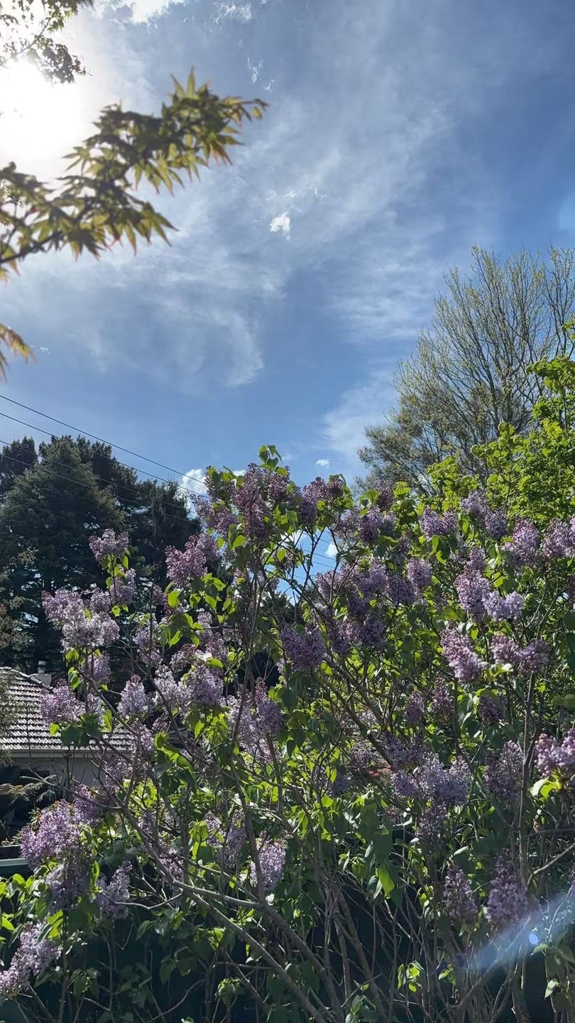 3BDR Blue Mountains Hideaway in Central Katoomba 18 Serain Residences