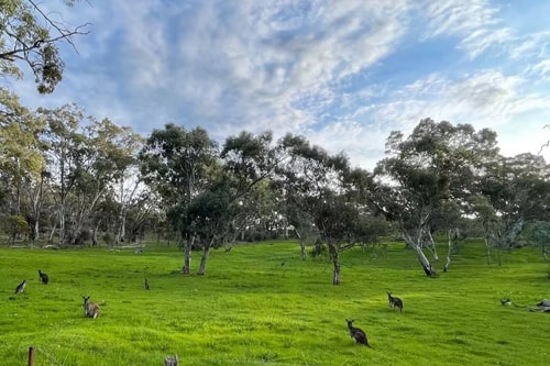 Rural retreat | 5 min to wineries / 10 min to town 15 Serain Residences