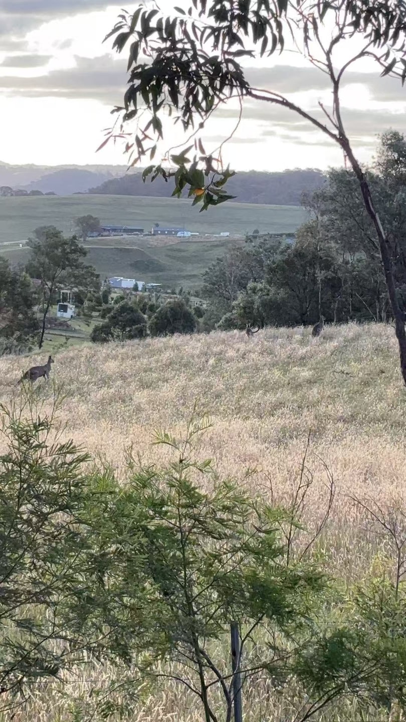 4BR Little Hartley Country Escape · Nature Views 4 Serain Residences