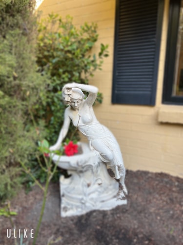 Leura's Magical Manderley - Studio Room 7 Serain Residences