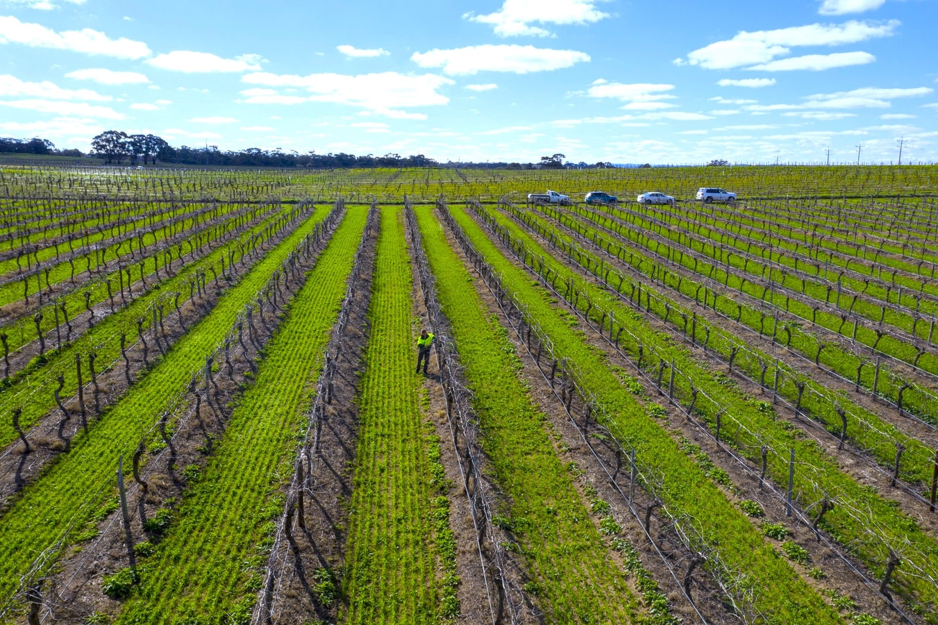 Furche Barossa 5 bed Stay: Vineyards & Fireplace 21 Serain Residences