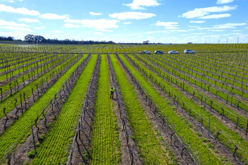 Furche Barossa 5 bed Stay: Vineyards & Fireplace 21 Serain Residences