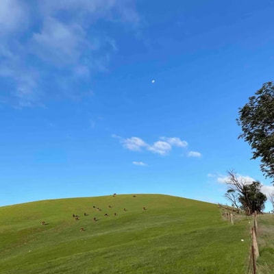 Rural retreat | 5 min to wineries / 10 min to town 22 Serain Residences