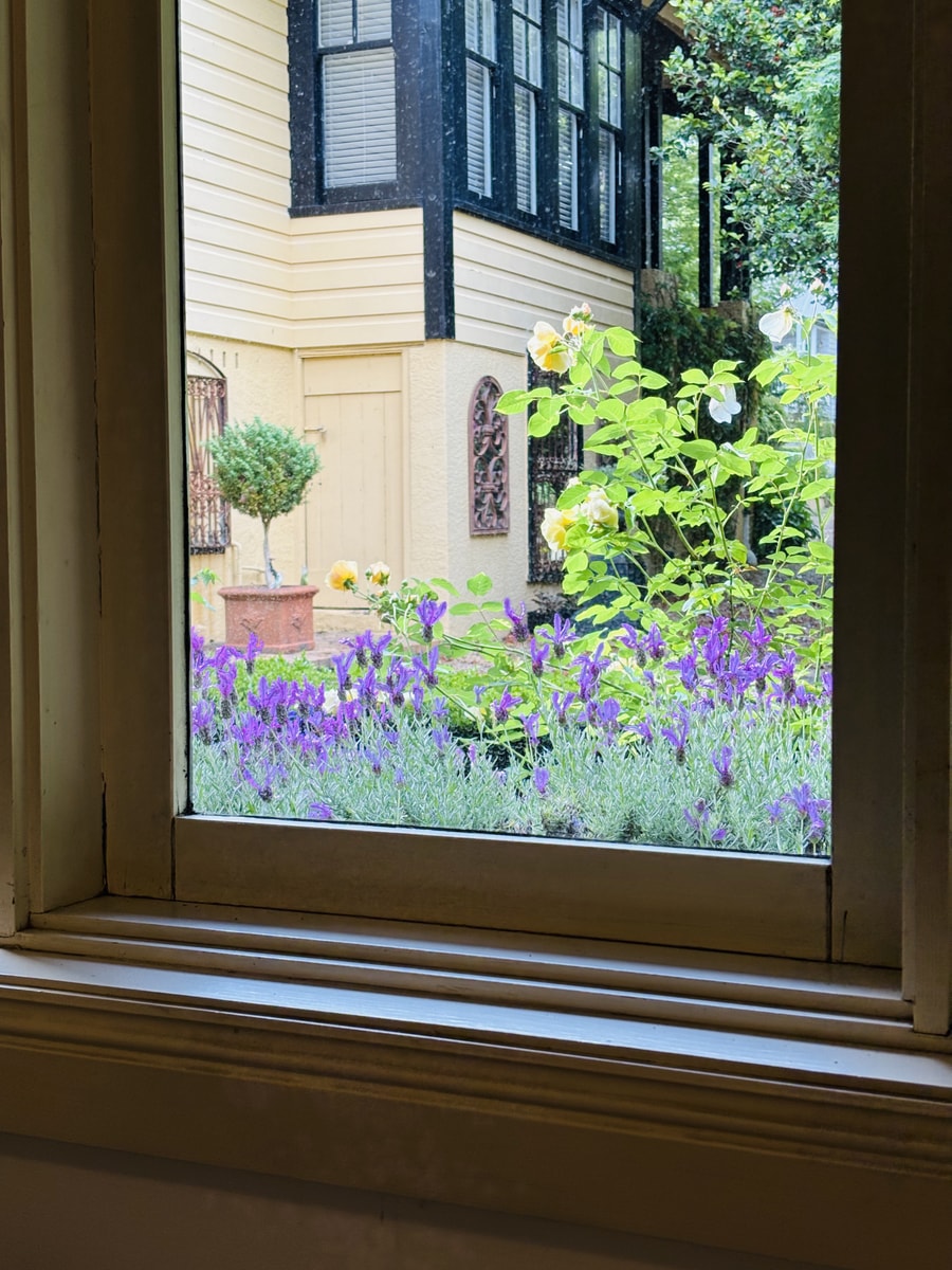 Leura's Magical Manderley - Studio Room 13 Serain Residences