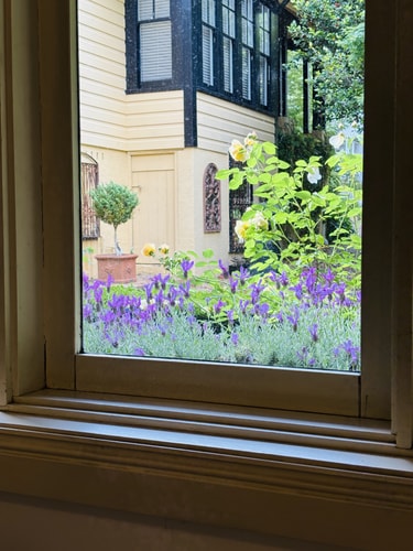 Leura's Magical Manderley - Studio Room 13 Serain Residences