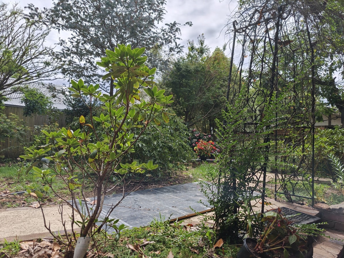 1BR Retreat Steps from Blue Mountains Highlights 8 Serain Residences