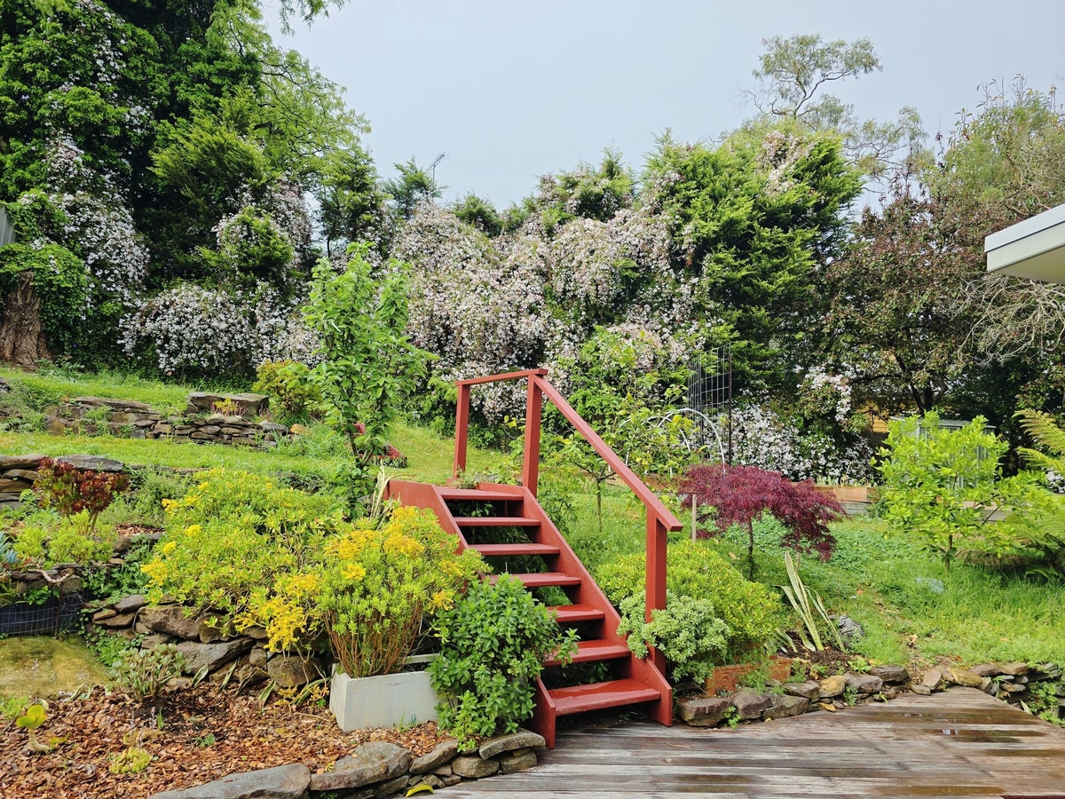 Serene Leura 2BDR Unit 3 Minutes to Shops 12 Serain Residences