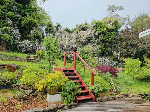 Serene Leura 2BDR Unit 3 Minutes to Shops 12 Serain Residences