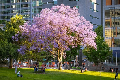 Melbourne Central | Designer Studio | North Views 12 Serain Residences