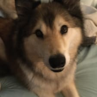 Sam