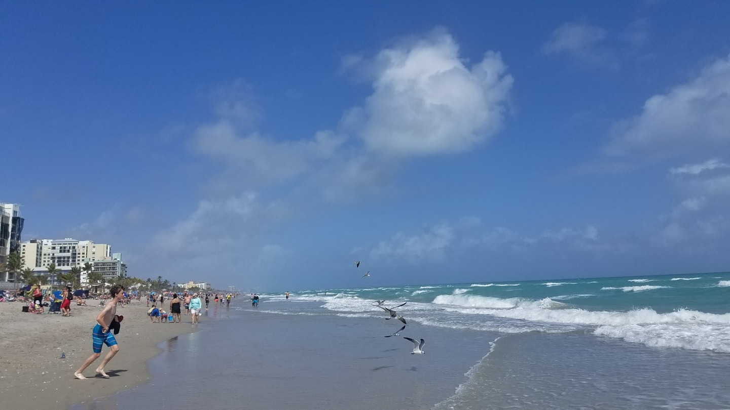 Lovely Large Luxury Beach Apt - Rooftop Pool-CS69 32 Cielo Stays