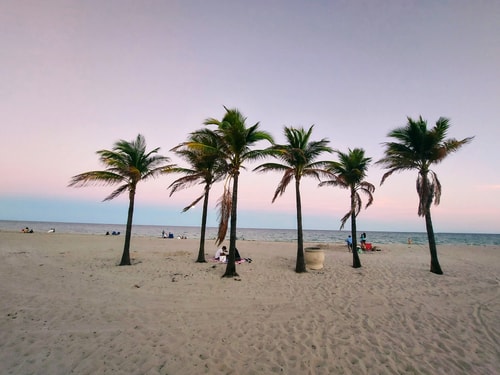 Beach Condo w/ Rooftop Pool 16 Cielo Stays