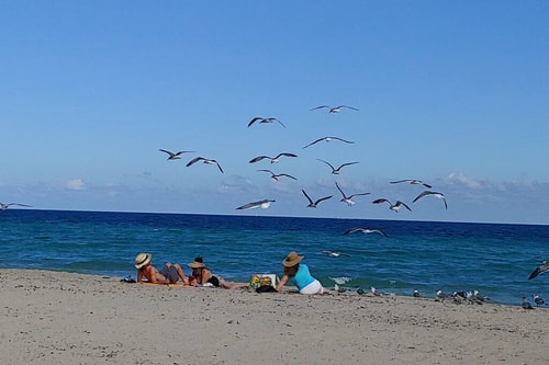 CH Luxury Beach-side Studio With Rooftop Pool-CS29 31 Tamesys Departamentos